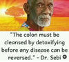 dr sebi cleanse detoxify your colon